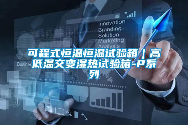 可程式恒溫恒濕試驗箱｜高低溫交變濕熱試驗箱-P系列