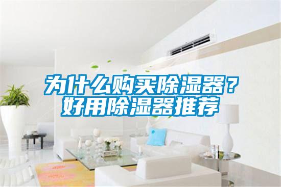 為什么購買除濕器？好用除濕器推薦