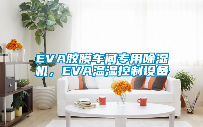 EVA膠膜車間專用除濕機(jī)，EVA溫濕控制設(shè)備