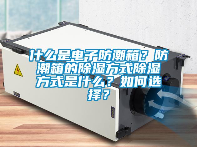 什么是電子防潮箱？防潮箱的除濕方式除濕方式是什么？如何選擇？