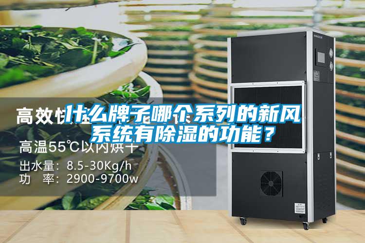 什么牌子哪個系列的新風(fēng)系統(tǒng)有除濕的功能？