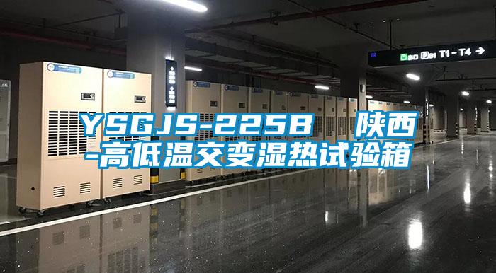 YSGJS-225B  陜西-高低溫交變濕熱試驗箱