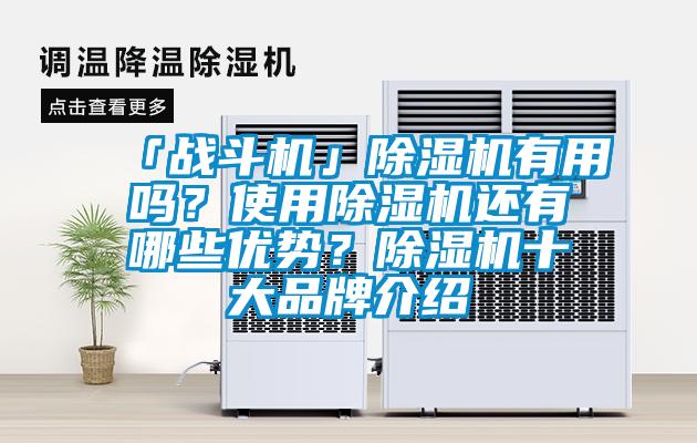 「戰(zhàn)斗機(jī)」除濕機(jī)有用嗎？使用除濕機(jī)還有哪些優(yōu)勢？除濕機(jī)十大品牌介紹