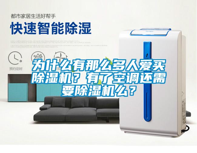 為什么有那么多人愛買除濕機？有了空調還需要除濕機么？