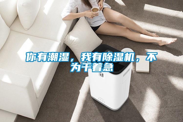 你有潮濕，我有除濕機，不為干著急