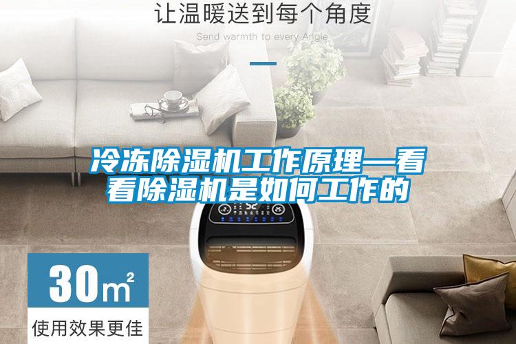 冷凍除濕機(jī)工作原理—看看除濕機(jī)是如何工作的
