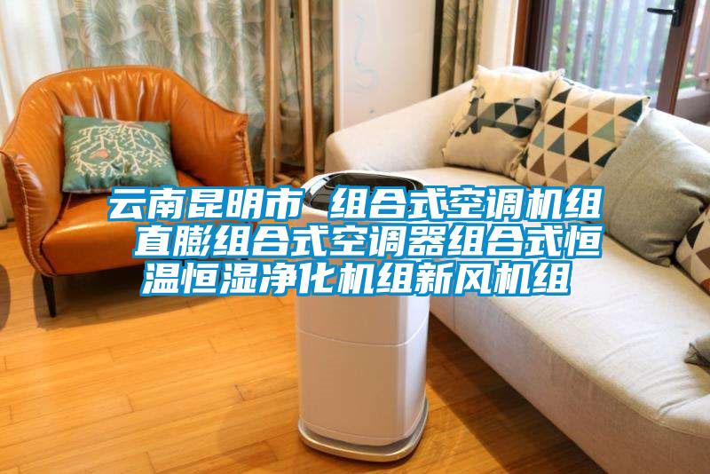 云南昆明市 組合式空調(diào)機組 直膨組合式空調(diào)器組合式恒溫恒濕凈化機組新風機組