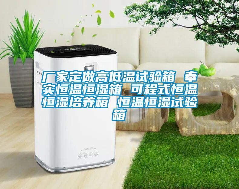 廠家定做高低溫試驗箱 奉實恒溫恒濕箱 可程式恒溫恒濕培養(yǎng)箱 恒溫恒濕試驗箱