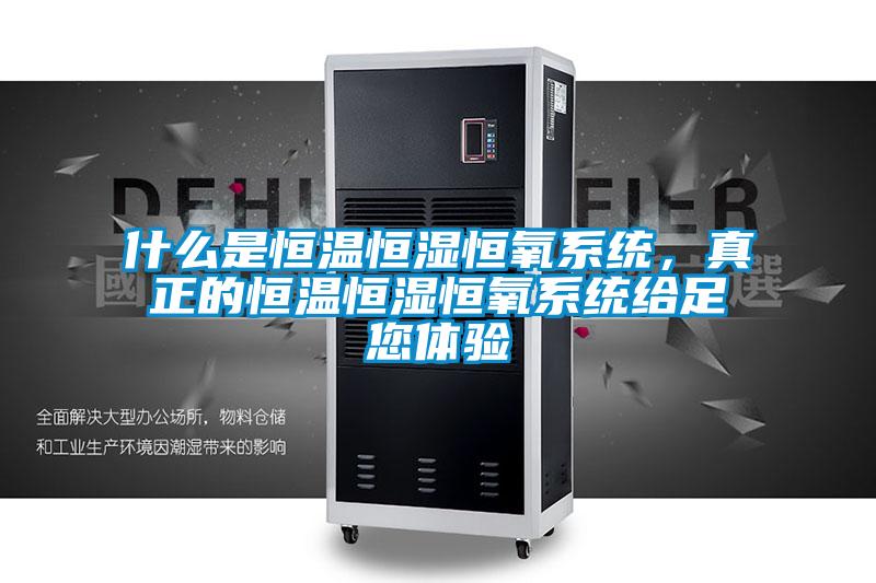 什么是恒溫恒濕恒氧系統(tǒng)，真正的恒溫恒濕恒氧系統(tǒng)給足您體驗(yàn)