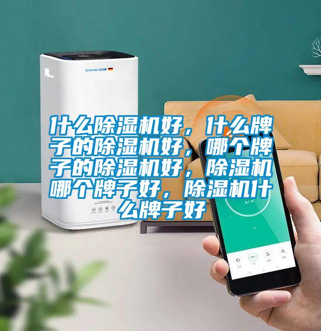 什么除濕機(jī)好，什么牌子的除濕機(jī)好，哪個(gè)牌子的除濕機(jī)好，除濕機(jī)哪個(gè)牌子好，除濕機(jī)什么牌子好