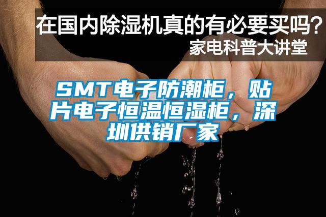 SMT電子防潮柜，貼片電子恒溫恒濕柜，深圳供銷廠家