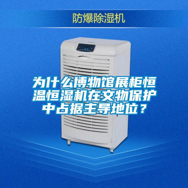 為什么博物館展柜恒溫恒濕機在文物保護中占據主導地位？