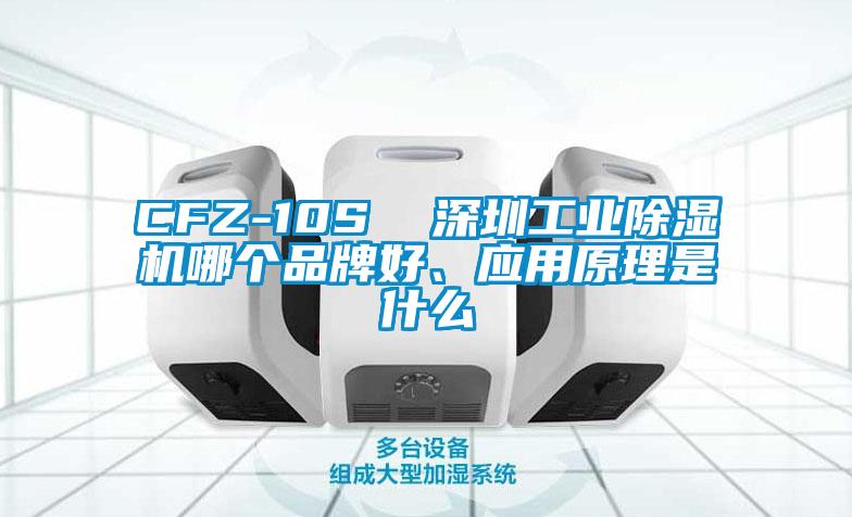 CFZ-10S  深圳工業(yè)除濕機(jī)哪個(gè)品牌好、應(yīng)用原理是什么
