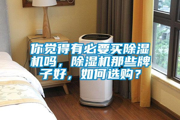 你覺得有必要買除濕機嗎，除濕機那些牌子好，如何選購？
