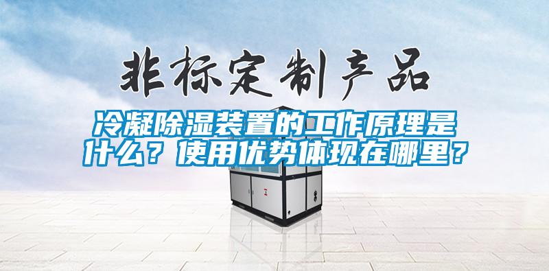 冷凝除濕裝置的工作原理是什么？使用優(yōu)勢(shì)體現(xiàn)在哪里？