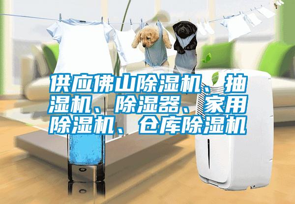 供應(yīng)佛山除濕機(jī)、抽濕機(jī)、除濕器、家用除濕機(jī)、倉(cāng)庫(kù)除濕機(jī)