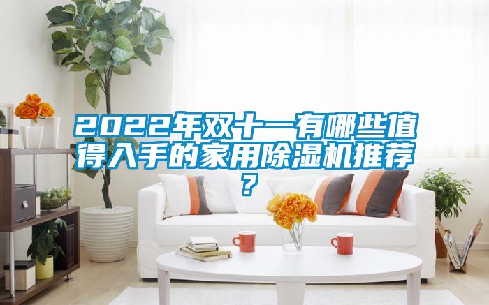 2022年雙十一有哪些值得入手的家用除濕機(jī)推薦？