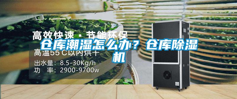 倉(cāng)庫(kù)潮濕怎么辦？倉(cāng)庫(kù)除濕機(jī)