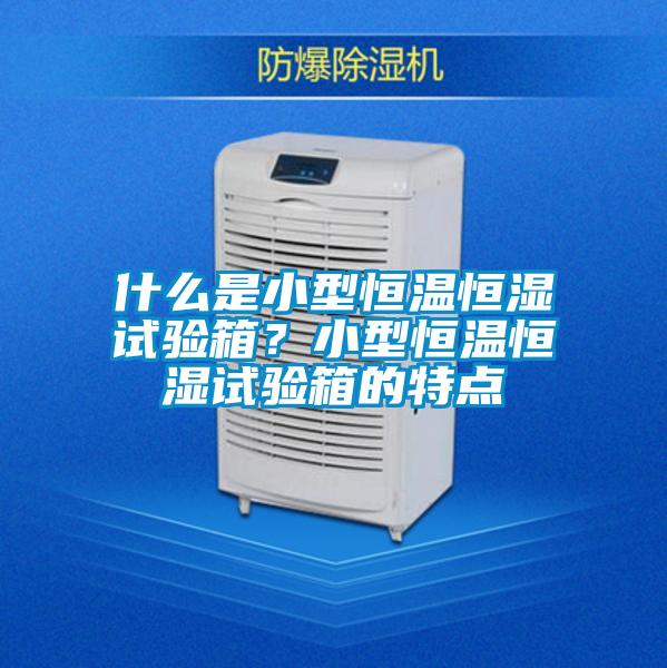 什么是小型恒溫恒濕試驗(yàn)箱？小型恒溫恒濕試驗(yàn)箱的特點(diǎn)