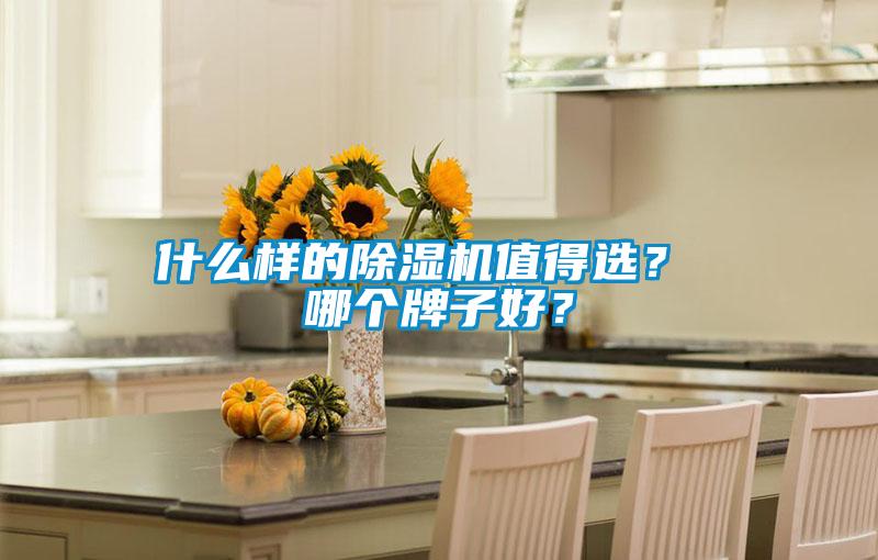 什么樣的除濕機(jī)值得選？ 哪個(gè)牌子好？