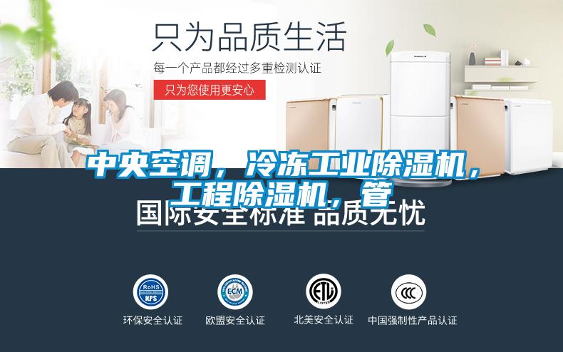 中央空調(diào)，冷凍工業(yè)除濕機(jī)，工程除濕機(jī)，管
