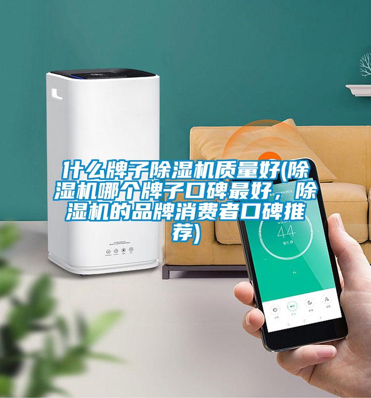 什么牌子除濕機(jī)質(zhì)量好(除濕機(jī)哪個(gè)牌子口碑最好，除濕機(jī)的品牌消費(fèi)者口碑推薦)