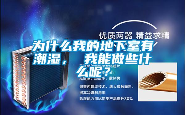 為什么我的地下室有潮濕， 我能做些什么呢？