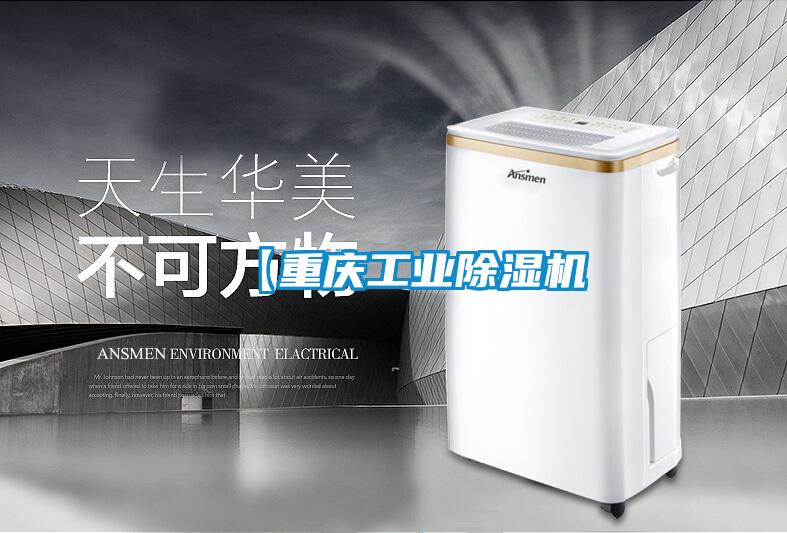 【重慶工業(yè)除濕機