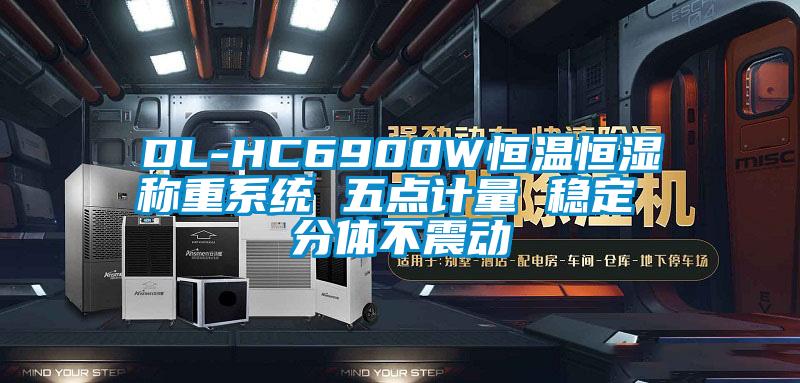 DL-HC6900W恒溫恒濕稱(chēng)重系統(tǒng) 五點(diǎn)計(jì)量 穩(wěn)定 分體不震動(dòng)