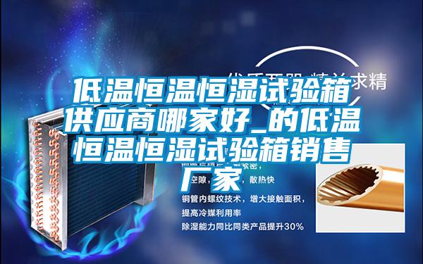 低溫恒溫恒濕試驗(yàn)箱供應(yīng)商哪家好_的低溫恒溫恒濕試驗(yàn)箱銷(xiāo)售廠家