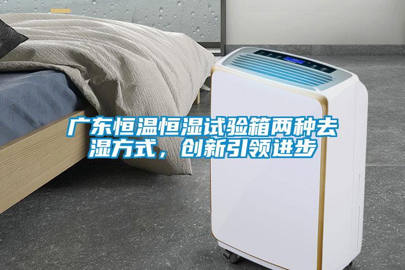 廣東恒溫恒濕試驗(yàn)箱兩種去濕方式，創(chuàng)新引領(lǐng)進(jìn)步