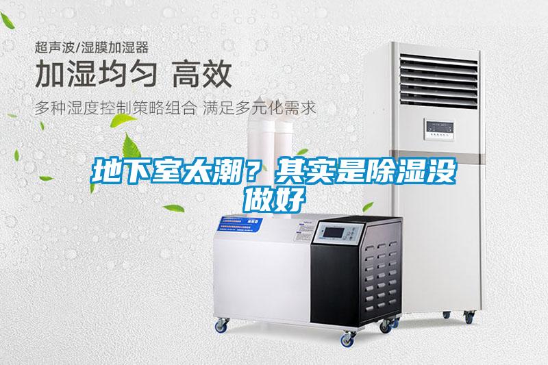 地下室太潮？其實是除濕沒做好