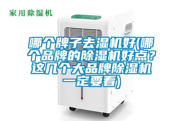 哪個牌子去濕機好(哪個品牌的除濕機好點？這幾個大品牌除濕機一定要看)