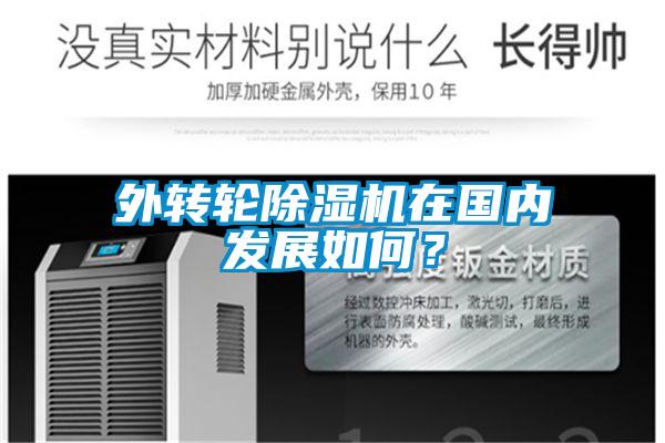 外轉(zhuǎn)輪除濕機(jī)在國(guó)內(nèi)發(fā)展如何？