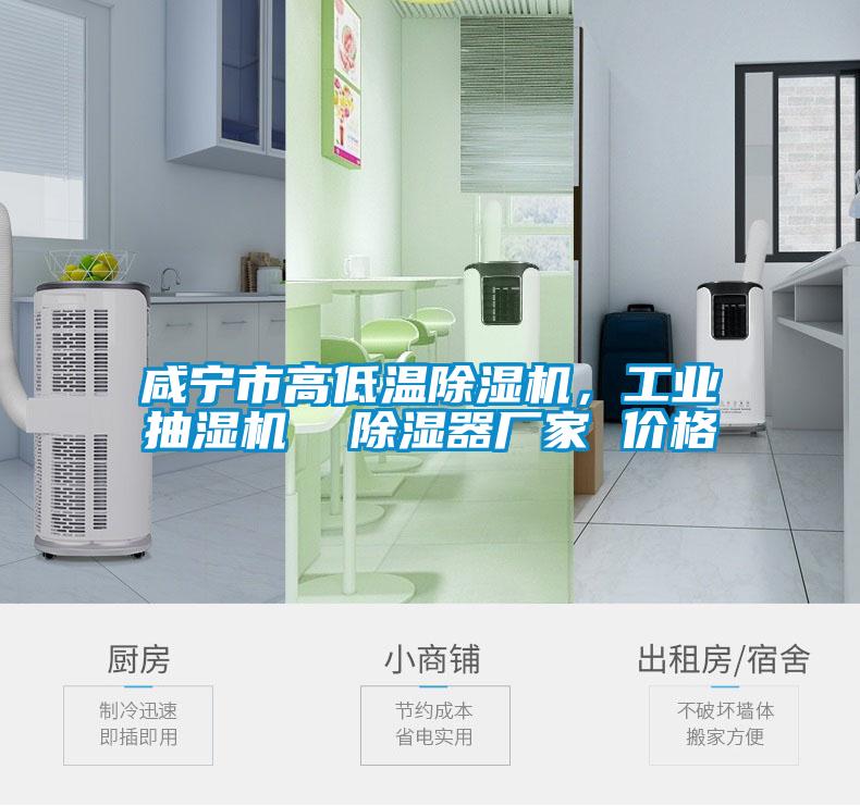 咸寧市高低溫除濕機，工業抽濕機  除濕器廠家 價格