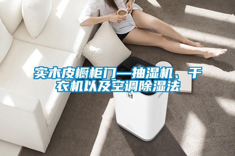 實(shí)木皮櫥柜門(mén)—抽濕機(jī)、干衣機(jī)以及空調(diào)除濕法
