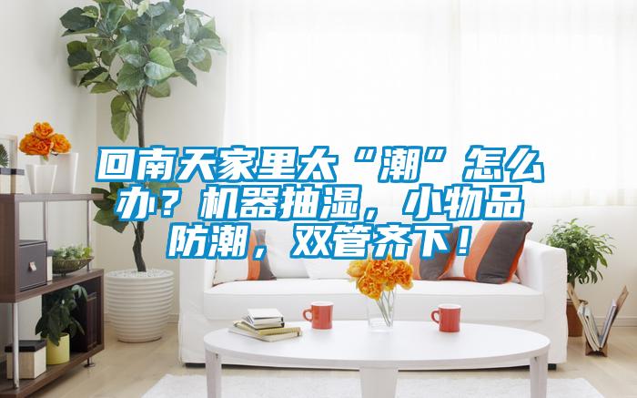 回南天家里太“潮”怎么辦？機器抽濕，小物品防潮，雙管齊下！