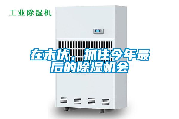 在末伏，抓住今年最后的除濕機(jī)會