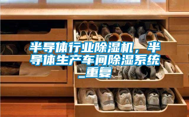 半導體行業(yè)除濕機，半導體生產(chǎn)車間除濕系統(tǒng)_重復