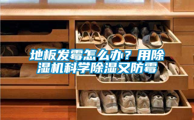 地板發(fā)霉怎么辦？用除濕機(jī)科學(xué)除濕又防霉