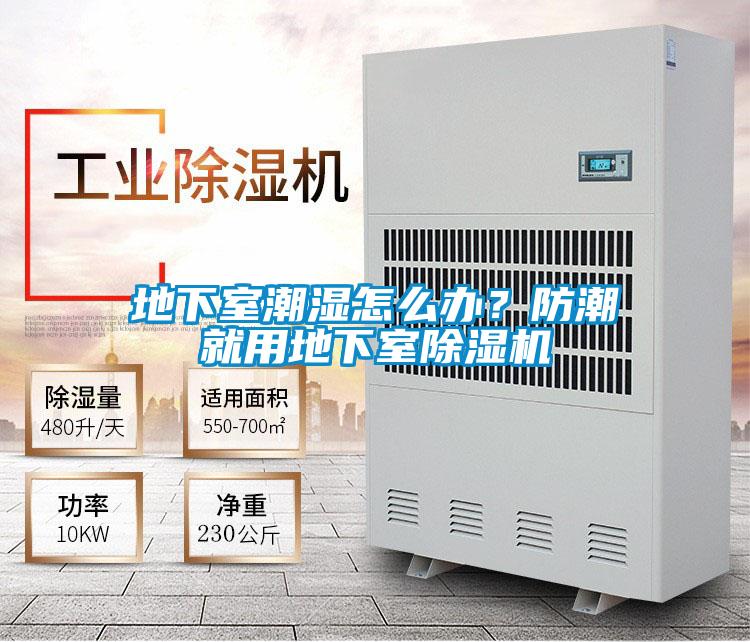 地下室潮濕怎么辦？防潮就用地下室除濕機(jī)