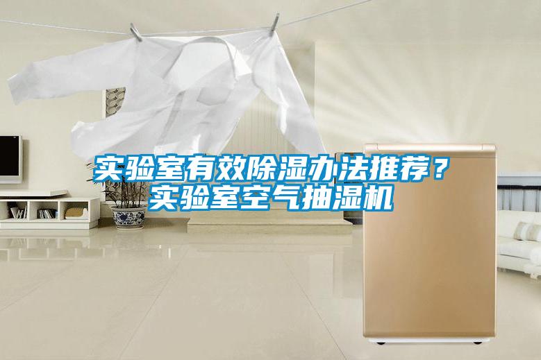 實驗室有效除濕辦法推薦？實驗室空氣抽濕機(jī)