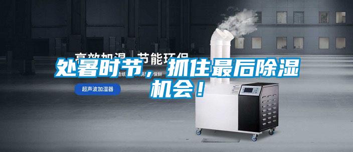 處暑時(shí)節(jié)，抓住最后除濕機(jī)會(huì)！