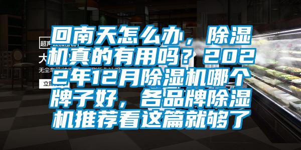 回南天怎么辦，除濕機真的有用嗎？2022年12月除濕機哪個牌子好，各品牌除濕機推薦看這篇就夠了