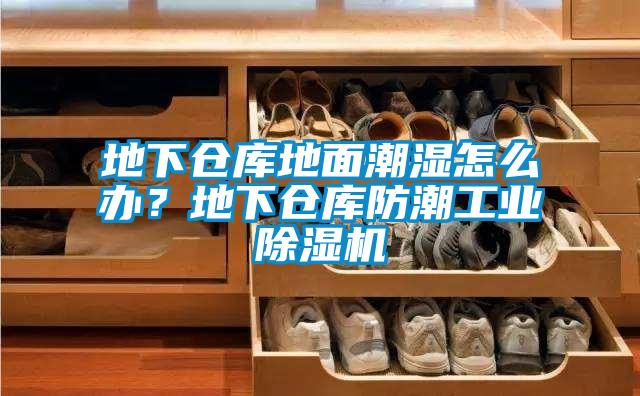 地下倉(cāng)庫(kù)地面潮濕怎么辦？地下倉(cāng)庫(kù)防潮工業(yè)除濕機(jī)