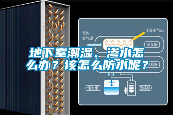 地下室潮濕、滲水怎么辦？該怎么防水呢？
