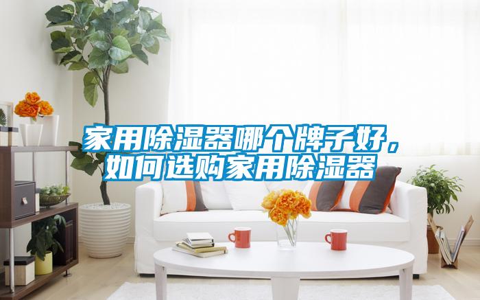 家用除濕器哪個(gè)牌子好，如何選購家用除濕器