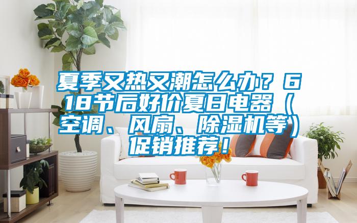 夏季又熱又潮怎么辦？618節(jié)后好價(jià)夏日電器（空調(diào)、風(fēng)扇、除濕機(jī)等）促銷推薦！