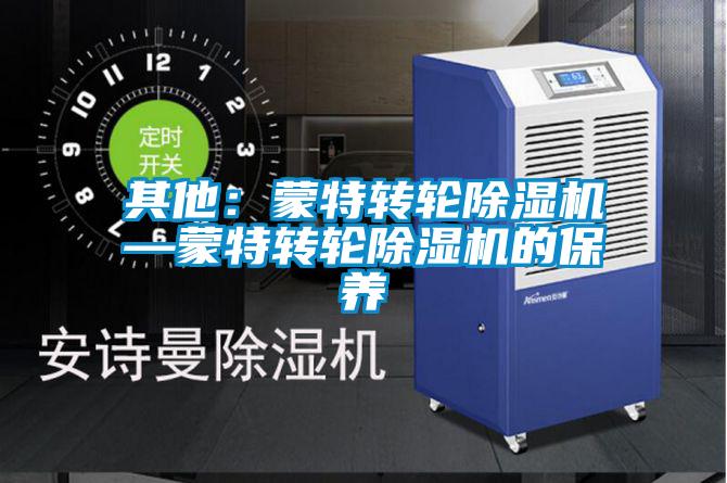 其他：蒙特轉(zhuǎn)輪除濕機—蒙特轉(zhuǎn)輪除濕機的保養(yǎng)