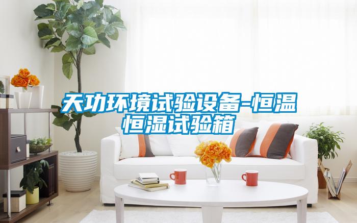 天功環(huán)境試驗設備-恒溫恒濕試驗箱